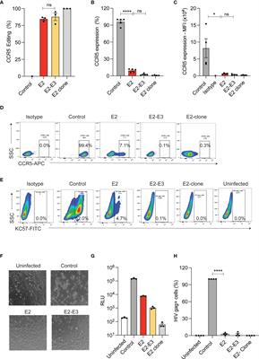 The CCR5 Gene Edited CD34+CD90+ Hematopoietic Stem Cell Population Serves as an Optimal Graft Source for HIV Gene Therapy